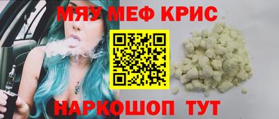 индика Камышлов