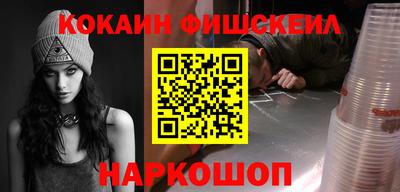 индика Камышлов