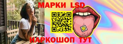 индика Камышлов