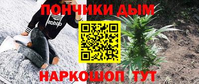 индика Камышлов