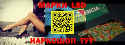индика Камышлов