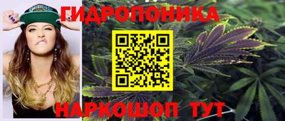 индика Камышлов