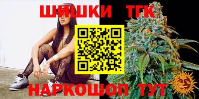 индика Камышлов