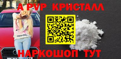 индика Камышлов
