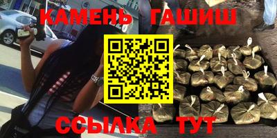 индика Камышлов