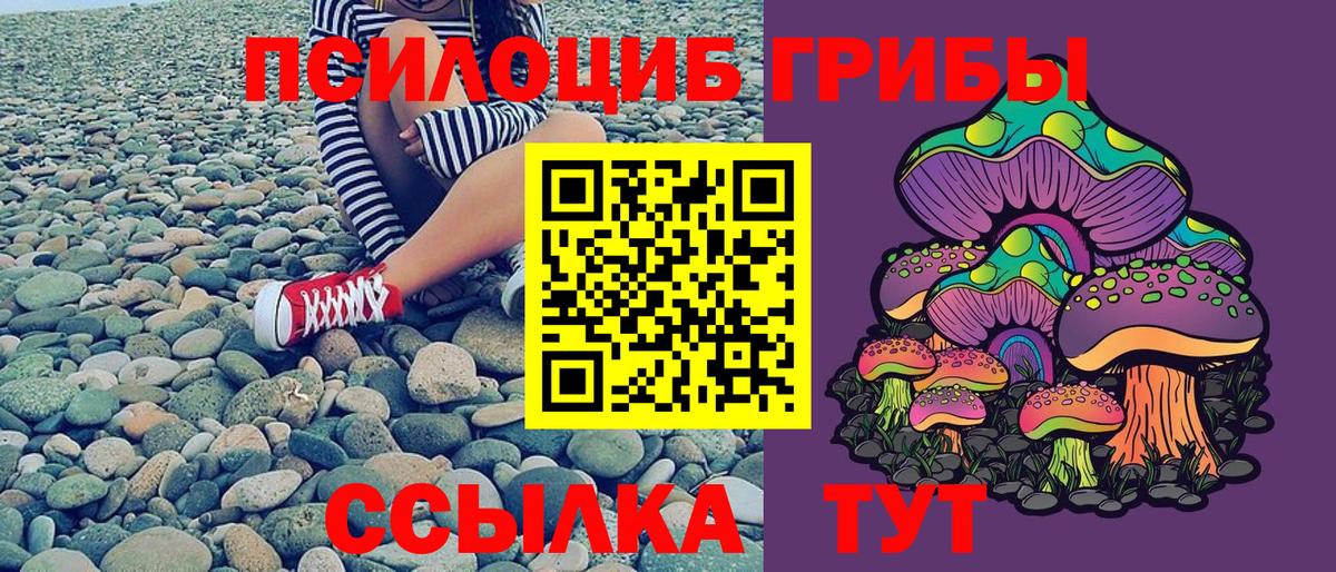 Кувандык  Галлюциногенные грибы ЛСД  наркошоп  Вход с VPN 